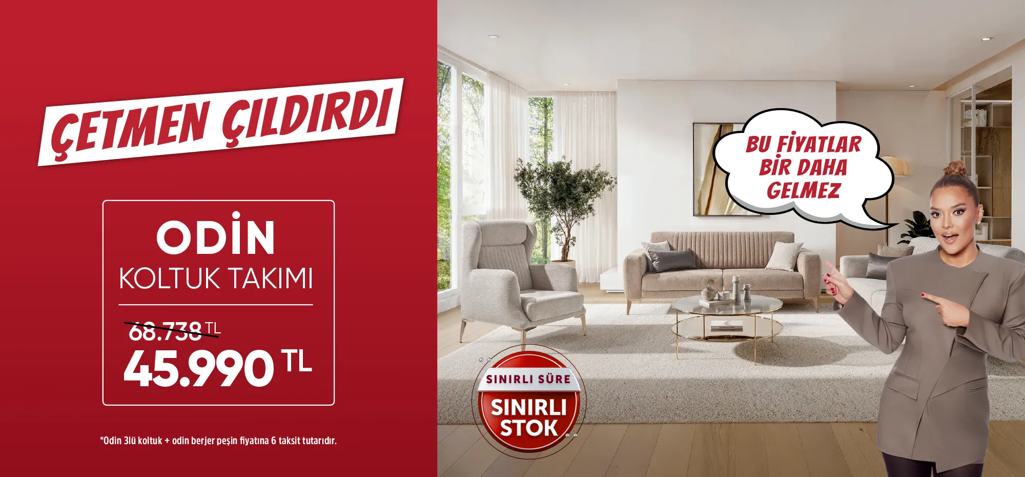 Odin koltuk takımı