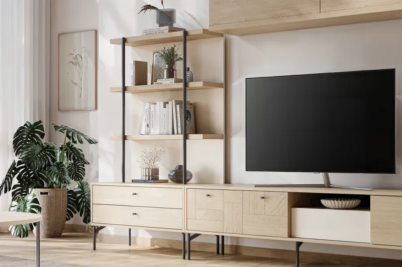 tv kitaplık sahne